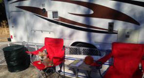 Pet Friendly Destination