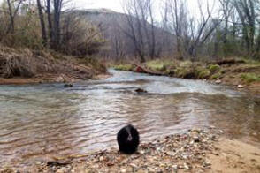 Pack all their Supplies