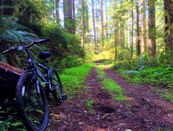 RV Campgrounds For The Adventurer