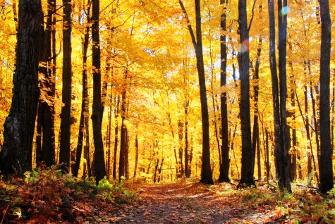 Why Fall is the Best Time to RV Why Fall is the Best Time to RV