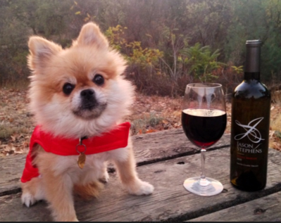 Wineries And Breweries You Don't Want To Miss!